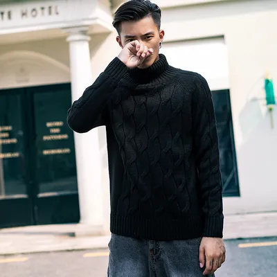 Casual solid color turtleneck