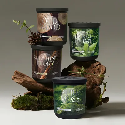 Dark Series Wood-Scented Smokeless Car Solid Perfume Balm