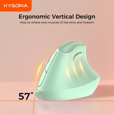 Carefully Selected Ergonomic Vertical Wireless Mouse