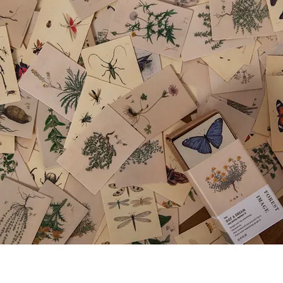 100 Pieces Of Retro Small Book Double-sided Notes Mini Card Account