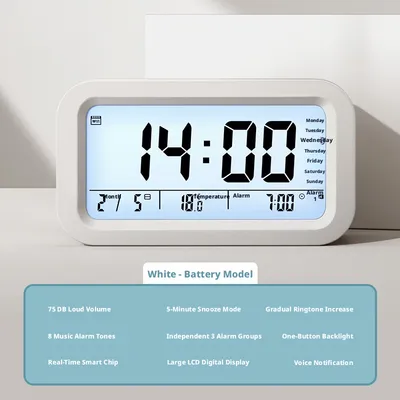 Electronic Timer-White Battery Model