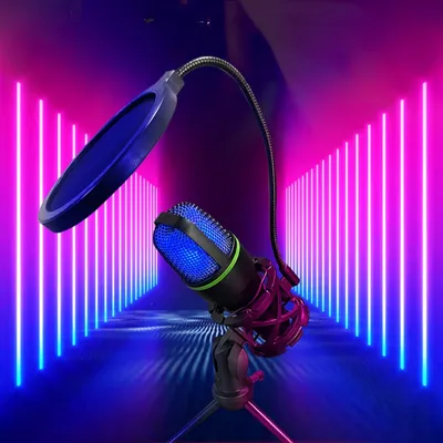 Home Computer Writing USB Condenser Microphone