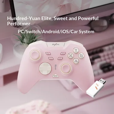 Lay'sda P5 Wireless Game Controller