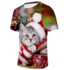 Fashion & Clothing