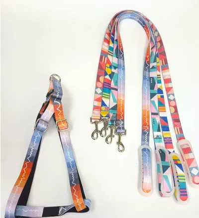 Big dog chest and back traction rope-XL size model-random color-nylon rope-rope length 1.2m-1 set