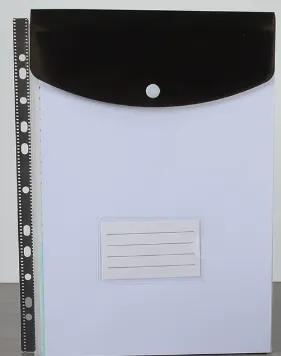11-hole information booklet-A4-vertical version-black-1 piece