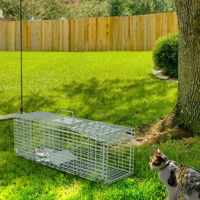 1Pc Humane Cat Trap Cage With Gloves Catch Release Live Animal Rodent Cage Collapsible Galvanized Wire For Raccoons Beavers Groundhogs Foxes Armadillos