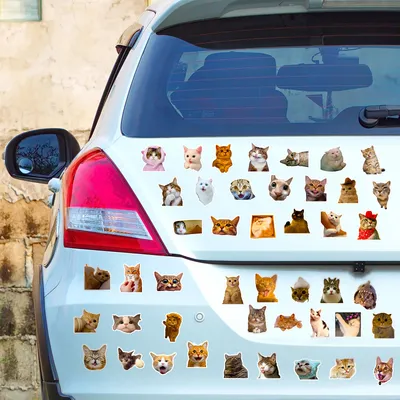 50 Pieces Of Realistic Kitten Creative Decorative Water Cup Notebook Journal Small Stickers