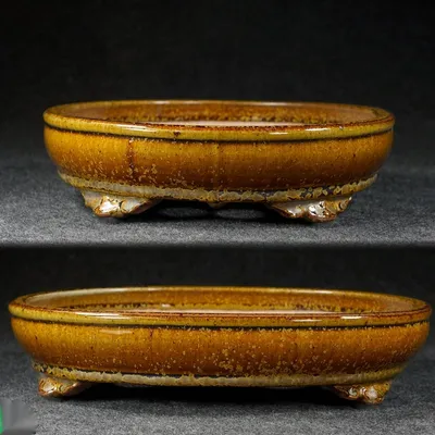 Antique-style Oval Cloud-foot-shaped Bonsai Pot