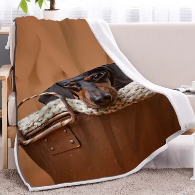 1 Pc Of High Weight Soft And Warm Simple Sausage Dog Themed Lamb Wool Blanket, Versatile Sofa, Good Companion, Office Nap Blanket, Also Suitable For Camping