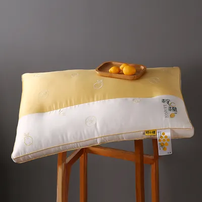 All Cotton Washable Feather Velvet Embroidery Three-dimensional Single Pillow Insert