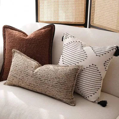 Affordable Luxury Minimalist Modern Sofa And Living Room Throw Pillows
