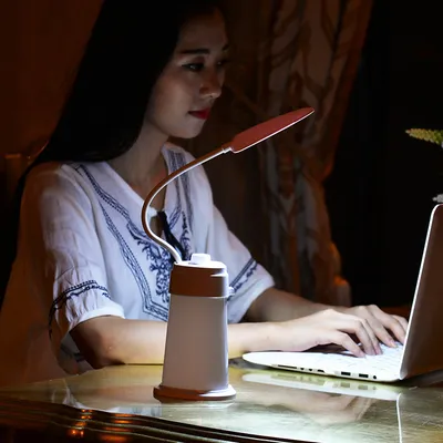2 In 1 Desktop Ambient Light Portable Rechargeable