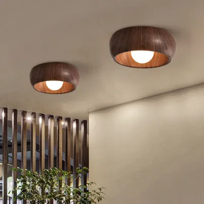 Aisle Corridor Light Creative Walnut Color Led Ceiling Light