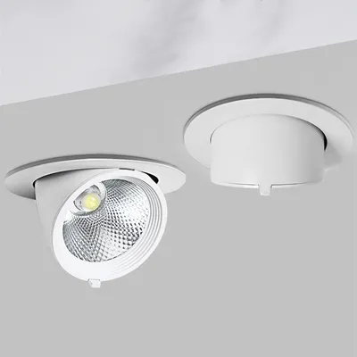 Elephant Trunk Light Recessed Spotlight