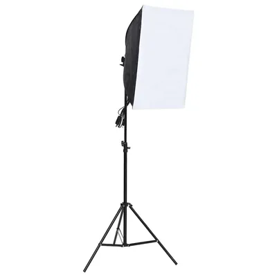   Professional Studio Light