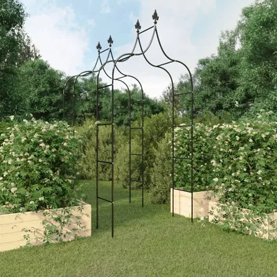   Garden Arches, 2 pcs., Black, 120x38x260 cm, Steel