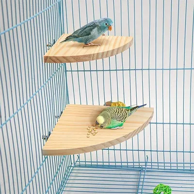 Climbing And Playing Bird Cage Accessories Toy Solid Wood Jumping Platform Standing Board