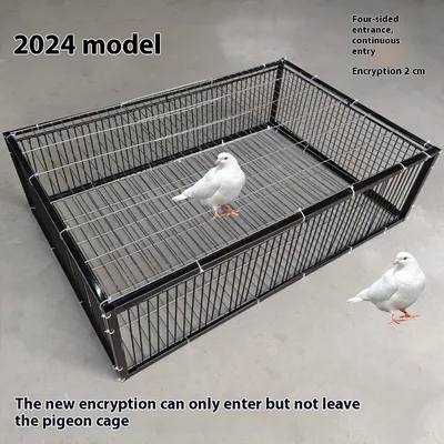 Outdoor Household Roof Only-in-no-out Pigoen Cage