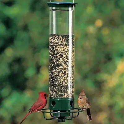 Metal Hanging Hummingbird Feeder Bird Cage