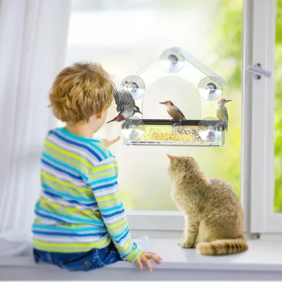 Acrylic Bird Cage Hummingbird Feeder Pet Supplies Transparent Wall-mounted Birds Feeder