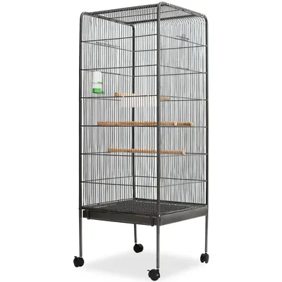   Birdcage 54x