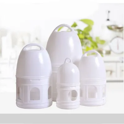 Pigeon drinking bottle