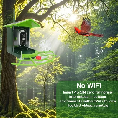 Smart Recognition Birdwatching Feeder With Camera And Solar Power