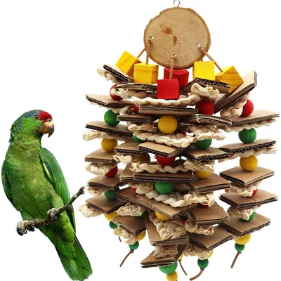 Parrot Logs Gnawing On Corn Husks And Skewers