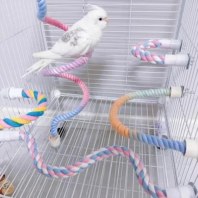 Gradient Colorful Bird Rope Perch Stand For Bird Cages Bendable Climbing Rope Cage Accessory Toy For Cockatiel Parakeet Sugar Glider