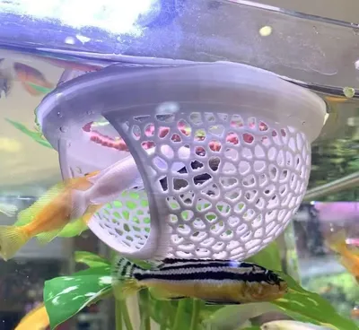 2pcs White Floating Betta Fish Hammock Bed,Beta Hide Cave And Resting Spot,Fish Tank Accessories Decor Toy,Betta Fish Feeding Ring For Aquarium,Shrimp Betta Log Bed-1pcs Big And 1pcs Small