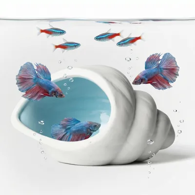 Ceramic Aquarium Cave For Betta Fish Tank Decor, White Conch Shell Hideout, Smooth Glaze Fish Tank Accessories & Decorations For Betta Fish, Shrimp, Pleco