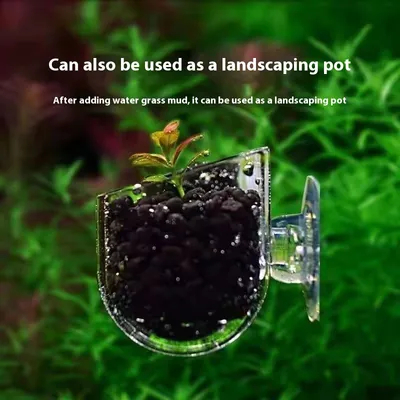 High Transparent Feeding Landscape Cup For Fish Tank