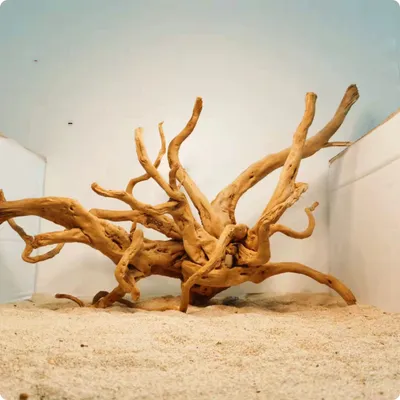 Xiaoqi Root Fish Tank Scenery Decoration Ornaments