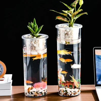 Living Room Micro Landscape Desktop Ecological Pot Transparent Plastic Creative Decoration Fish Tank