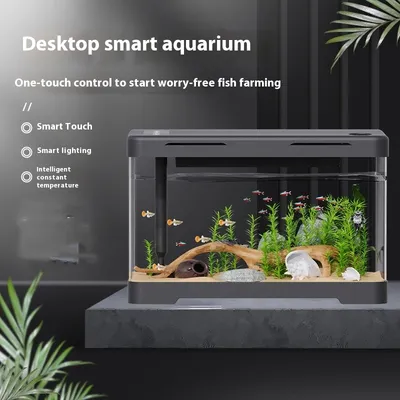 Four Generation Acrylic Fish Tank Lazy Transparent
