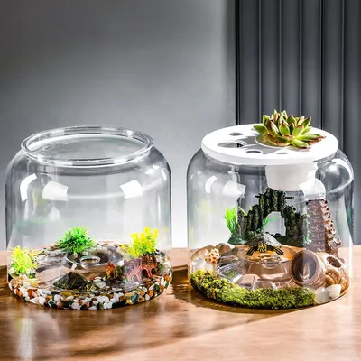 Transparent Plastic Ecological Desktop Landscaping Feeding Fish Tank