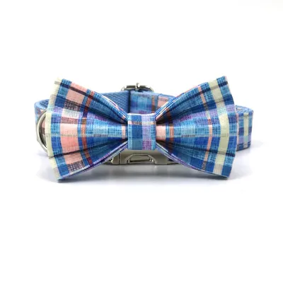 Custom Lettering Dog Collar Print Personality Suit
