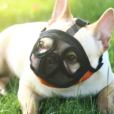 Fadou Puppy Mouth Cover Anti-bite And Bark Eating Mask