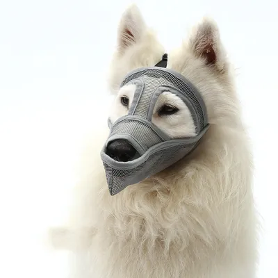 Breathable Mesh Mask That can Bite Bark and Chew Dogs