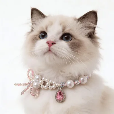 Socialite-style Fashion Accessory Rag Doll Pomeranian Pet