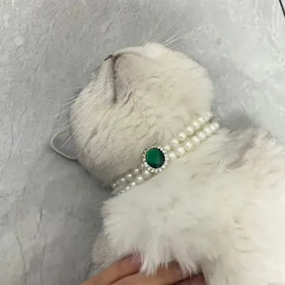 Cat Pearl Necklace Pet Collar