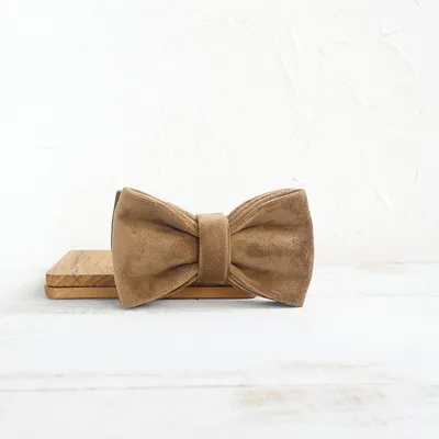 Dog collar accessories bow