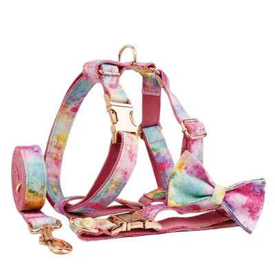 Bronzing Pet Collar Traction Rope On Foundation