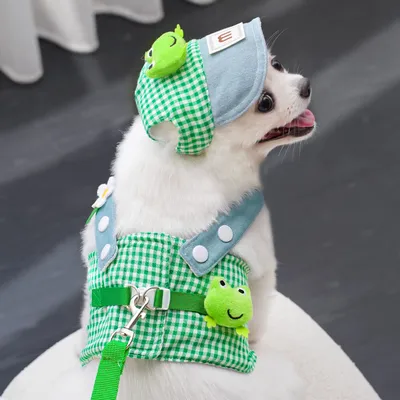Frog Pet Harness Traction Cat Rope Suit