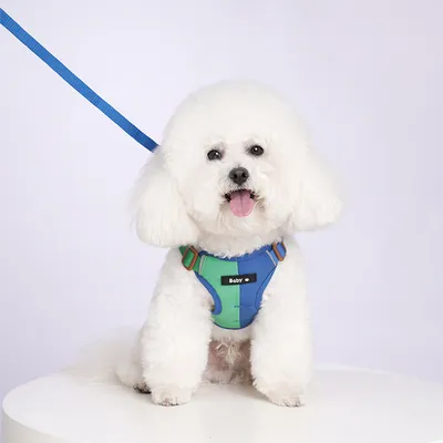 Reflective Dog Harness With Two-Tone Design And Leash