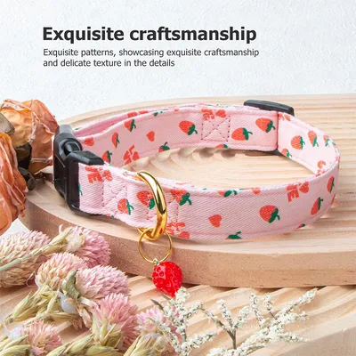 Adjustable Dog Collar For Traction