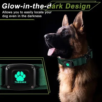 Adjustable Tactical Locator Collar For Large Dogs To Prevent Loss