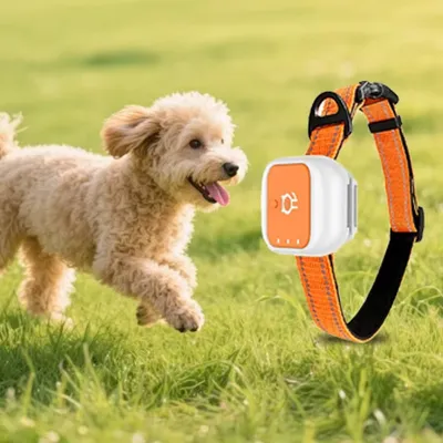 4G GPS Pet Collar Cats And Dogs Realtime GPS Tracking