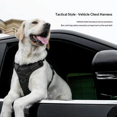 Lightweight Dual-Use Dog Harness For Car Traction